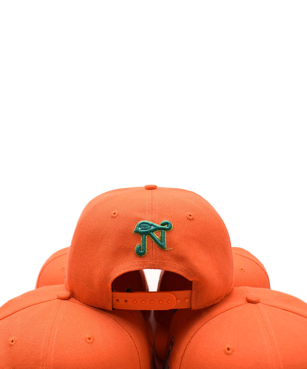 KUSH SNAPBACK 2