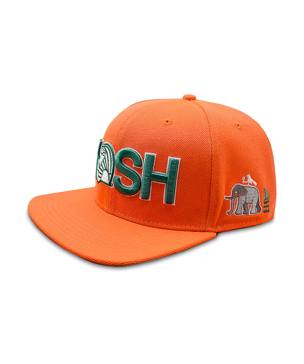 KUSH SNAPBACK 2