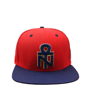 NU ANKH THROWBACK FITTED